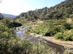 El recurso servirá para fortalecer labores de vigilancia, la fauna, desarrollo comunitario y educación ambiental. A. GARCÍA  /