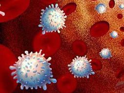 Las células madre son células maestras que pueden transformarse en cualquier tejido del cuerpo. ESPECIAL  /