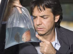 Eugenio Derbez, Alejandra Barros y Martina García protagonizan una comedia romántica. ESPECIAL  /