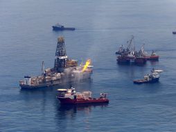 El gobierno de E.U ya trabaja para restablecer el quebrantado ecosistema del Golfo. EFE  /