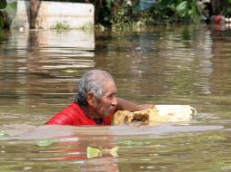 El huracán no sólo ha causado estragos en las viviendas si no también en el campo. EFE  /
