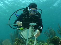 Abordarán el rescate, la protección legal y material de los vestigios que se encuentran bajo las aguas. EL UNIVERSAL  /