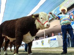 El primero de octubre comienza la Expo Ganadera. S. NÚÑEZ  /