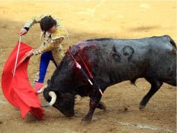 Foto de acción del novillero español Daniel Martin 'El Dani'. NOTIMEX  /