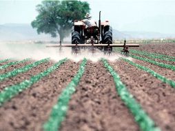 La producción de alimentos frescos se aleja más hacia las zonas rurales. ARCHIVO  /