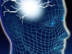 Este estudio además contribuirá al estudio de las redes de motivación y aprendizaje en el cerebro. ESPECIAL  /