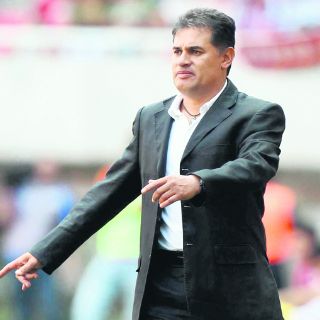 Zorros salen tristes