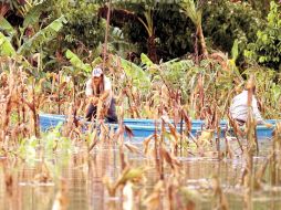 Protección Civil en Tabasco dijo que pese a las actuales mejorías en el clima, la instrucción es estar alertas. EL UNIVERSAL  /