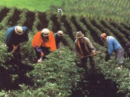 La SRA logró un acuerdo en la disputa por las tierras entre particulares e indígenas. ARCHIVO  /
