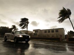 Los fuertes vientos e intensas lluvias de la  tormenta tropical “Paula” derribaron árboles y postes de electricidad. REUTERS  /