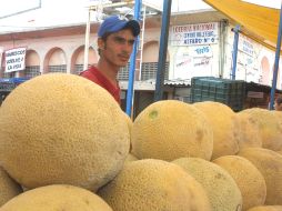 Es la primera vez que se modifica genéticamente un melón. ARCHIVO  /