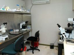 El primer evento que realizará este foro está previsto para el 19 de enero en Houston. RENÉ PÉREZ  /