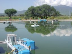 En reunión del Consejo de Administración del SIAPA se habló sobre el dinero que se requiere para proyectos de agua potable. ARCHIVO  /