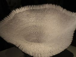 La exhibición fue inaugurada este jueves en el Museo de Arte Moderno. CONACULTA  /