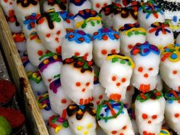 El fin es celebrar y fortalecer la tradición mexicana del Día de Muertos. ARCHIVO  /