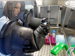 Este sistema resolverá el problema de escasez de órganos donados para el trasplante. EFE  /