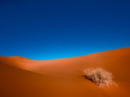 La exposición estará disponible al público en la Galería Casa de Francia de la Ciudad de México. NOTIMEX  /