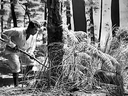 'Independencia' es un filme del director Raya Martin. ESPECIAL  /