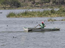 La administración de Enrique Alfaro ha invertido 145.8 millones de pesos en la rehabilitación de Cajititlán. S. NÚÑEZ  /