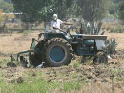 Señalan que se tienen mucho por avanzar en la tecnificación del riego  agrícola. ARCHIVO  /