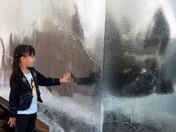 En el Jardín del Santuario de Guadalupe se instaló al perro Xolo dentro de un bloque de hielo. A. CAMACHO  /