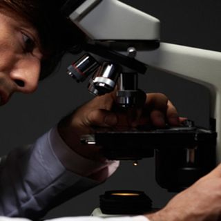 La ciencia puede abatir el desequilibro social y político en AL: Premios Nobel