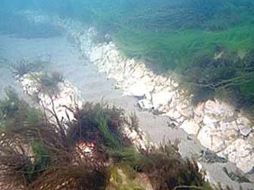 La sociedad marina que impulsa la iniciativa Seasearch nunca había tenido noticia de la existencia del arrecife. ESPECIAL  /