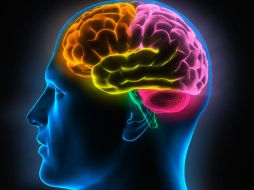 Los resultados también mostraron la caminata disminuye las posibilidades de sufrir demencia senil. ESPECIAL  /