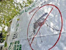 El acumulado hasta el momento asciende a mil 154 personas contagiadas de dengue. ARCHIVO  /