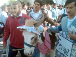 Estudiantes que acompañaron la protesta no perdieron la oportunidad de tomarse una foto con el burro. R. ZAPATA  /