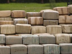 A decir de la DEA, se trata de la mayor captura de mariguana que se registra en el área de Chicago. ARCHIVO  /