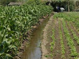 Esperan que que por lo menos no se reduzca el presupuesto estatal para el campo. ARCHIVO  /