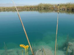 En La Poza Azul la transparencia de sus aguas nos deja ver uno de los extrañísimos Estromatolitos. P. FERNÁNDEZ  /