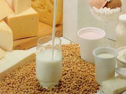 Los lactobacillus llevan un papel fundamental en el cuerpo humano. ESPECIAL  /