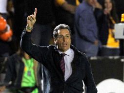 Tomás Boy, director técnico de Monarcas Morelia. MEXSPORT  /