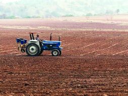 Fanar regularizará los núcleos agrarios que lo soliciten. ARCHIVO  /