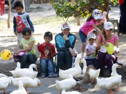 Los seres humanos somos gregarios por naturaleza. A. GARCÍA  /