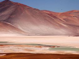 El desierto de Atacama es considerado el más árido del mundo. ESPECIAL  /