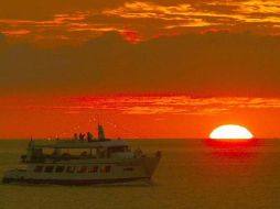 Puerto Vallarta, ha registrado en este año una recuperación de 40 por ciento en la llegada de cruceros. ARCHIVO  /