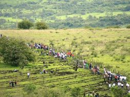 Ante el IMSS el agro sólo aportó 1.23 por ciento del empleo permanente. ARCHIVO  /