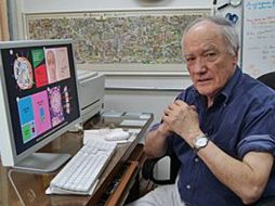 Debido a la muerte celular el organismo desecha lo que ya no necesita. ESPECIAL  /