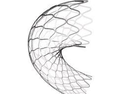 La obstrucción de las arterias coronarias se conoce como restenosis. ID  /