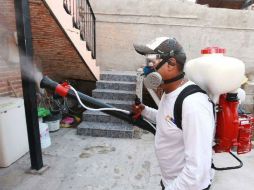 Más de 176 mil casas se trataron con motomochila durante la abatización del mosco transmisor del dengue. ARCHIVO  /