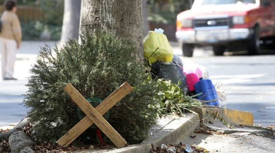 Se pretende evitar que los árboles vayan directamente a los tiraderos de basura. ARCHIVO  /