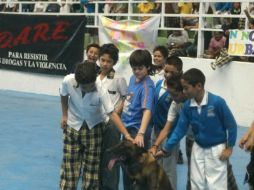 Los cursos fueron impartidos por funcionarios de DARE en 48 escuelas. ARCHIVO  /