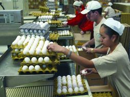 Jalisco aporta anualmente 1.4 millones de toneladas de huevo. ARCHIVO  /