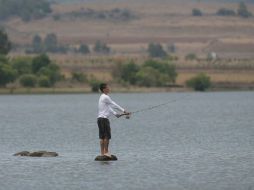 Las capturas incidentales pueden incluir especies amenazadas, alevines, tortugas, aves marinas, delfines etc. ARCHIVO  /