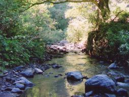 El escenario barrancoso presume arroyos cristalinos rodeados de fauna. V.GARCÍA  /