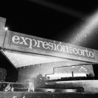 Expresión en Corto se fortalece