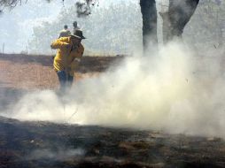 El primer incendio en el Bosque de La Primavera se registró la noche del domingo y logró ser apagado la madrugada del lunes. ARCHIVO  /